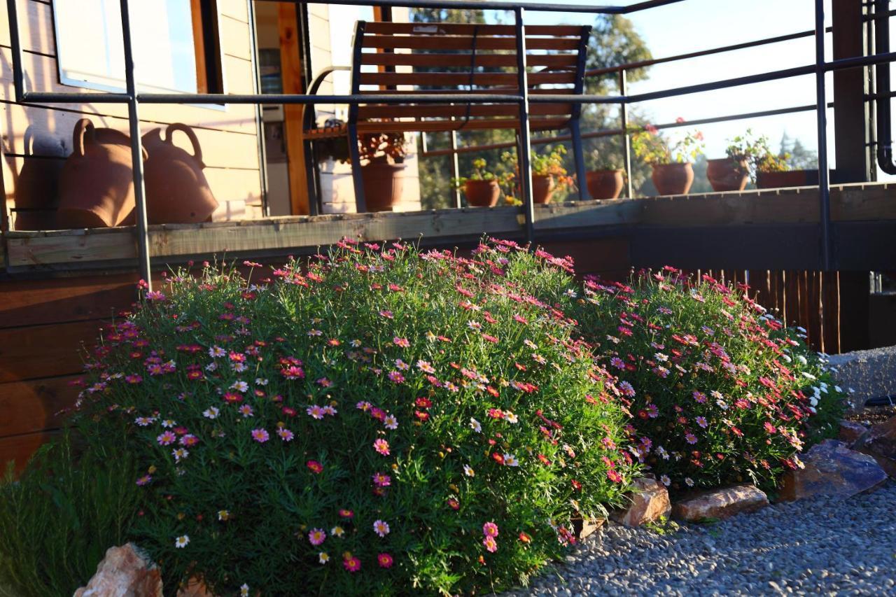 Cabanas Y Spa Costa Patagonia - Piscina Climatizada Pichilemu Exterior photo
